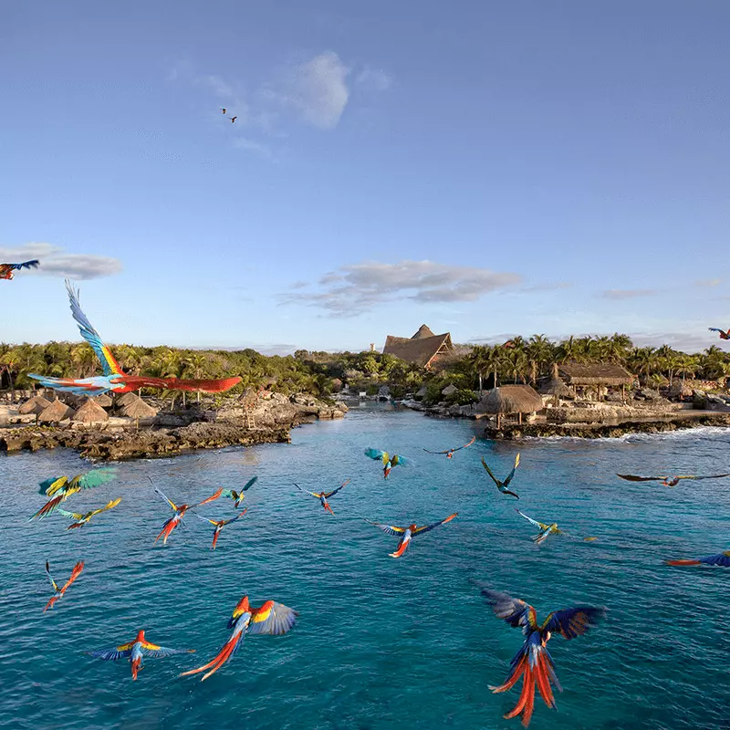 Xcaret Plus Tour